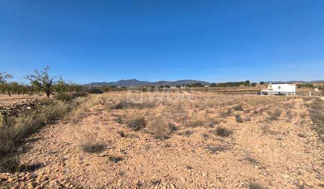 Odsprzedaż - Działka / Grunt - Pinoso - Inland