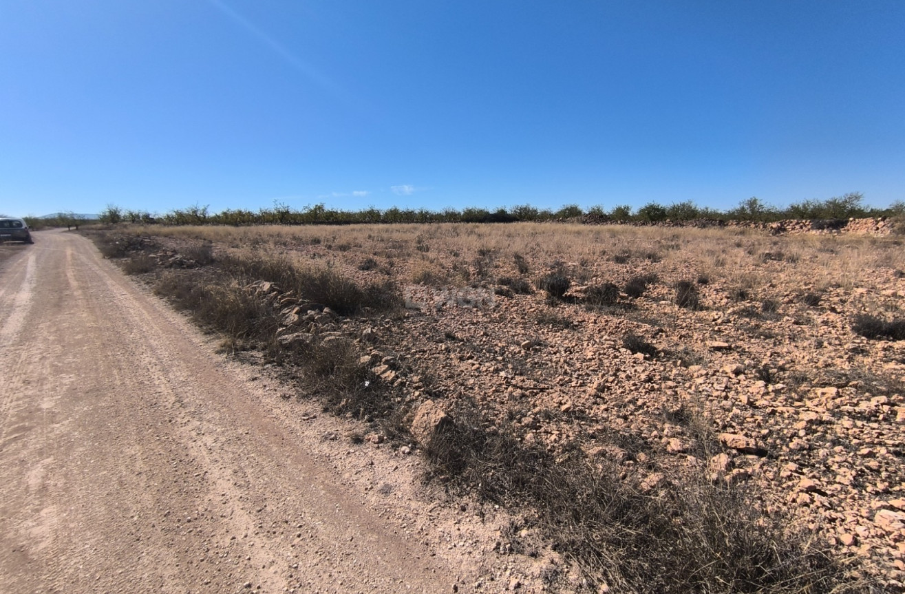 Odsprzedaż - Działka / Grunt - Pinoso - Inland