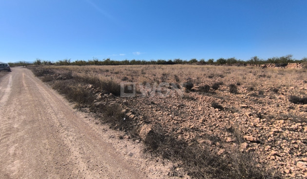 Odsprzedaż - Działka / Grunt - Pinoso - Inland