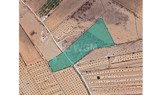 Odsprzedaż - Działka / Grunt - Pinoso - Inland