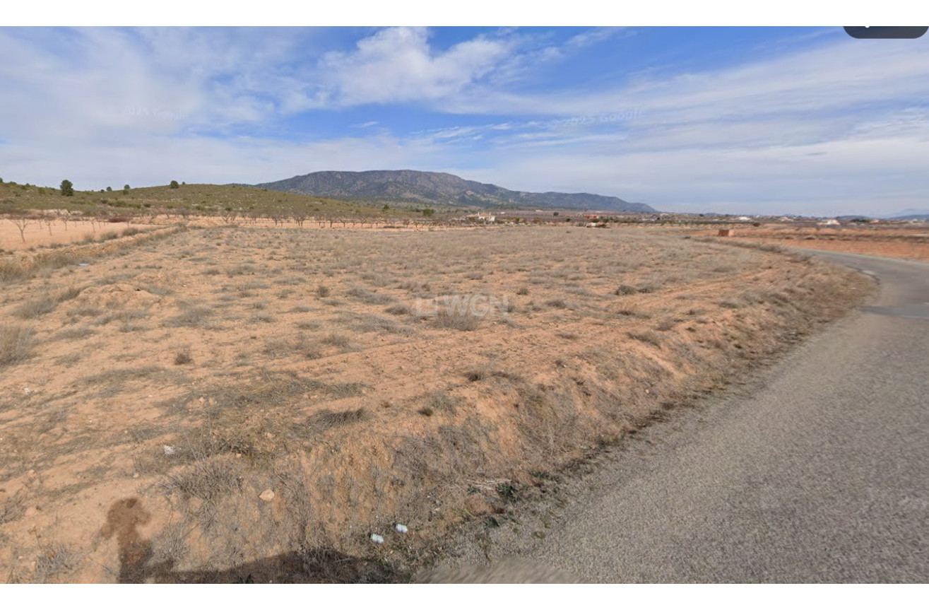 Reventa - Parcela / Terreno - Pinoso - Inland