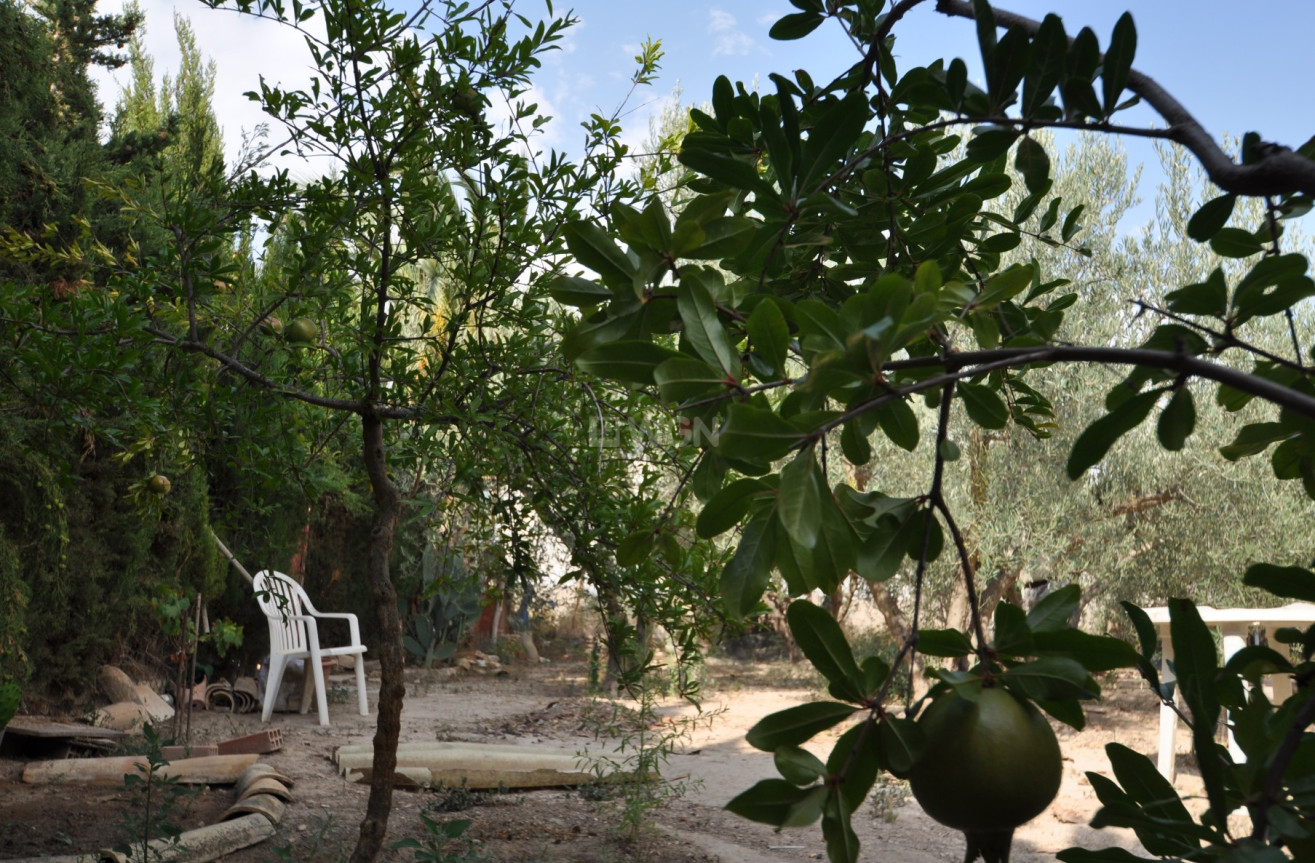 Resale - Villa - Pinoso - Inland