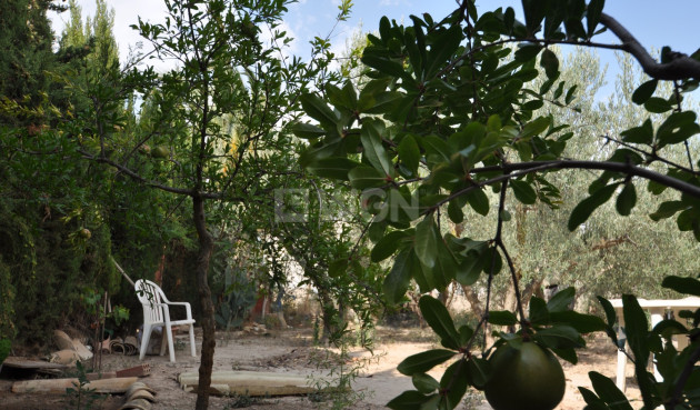 Resale - Villa - Pinoso - Inland