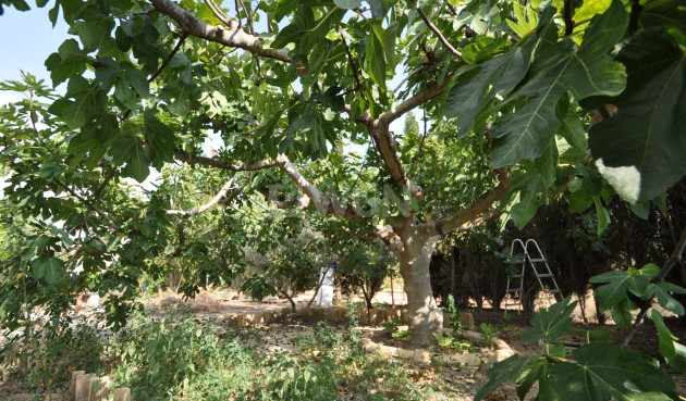 Resale - Villa - Pinoso - Inland