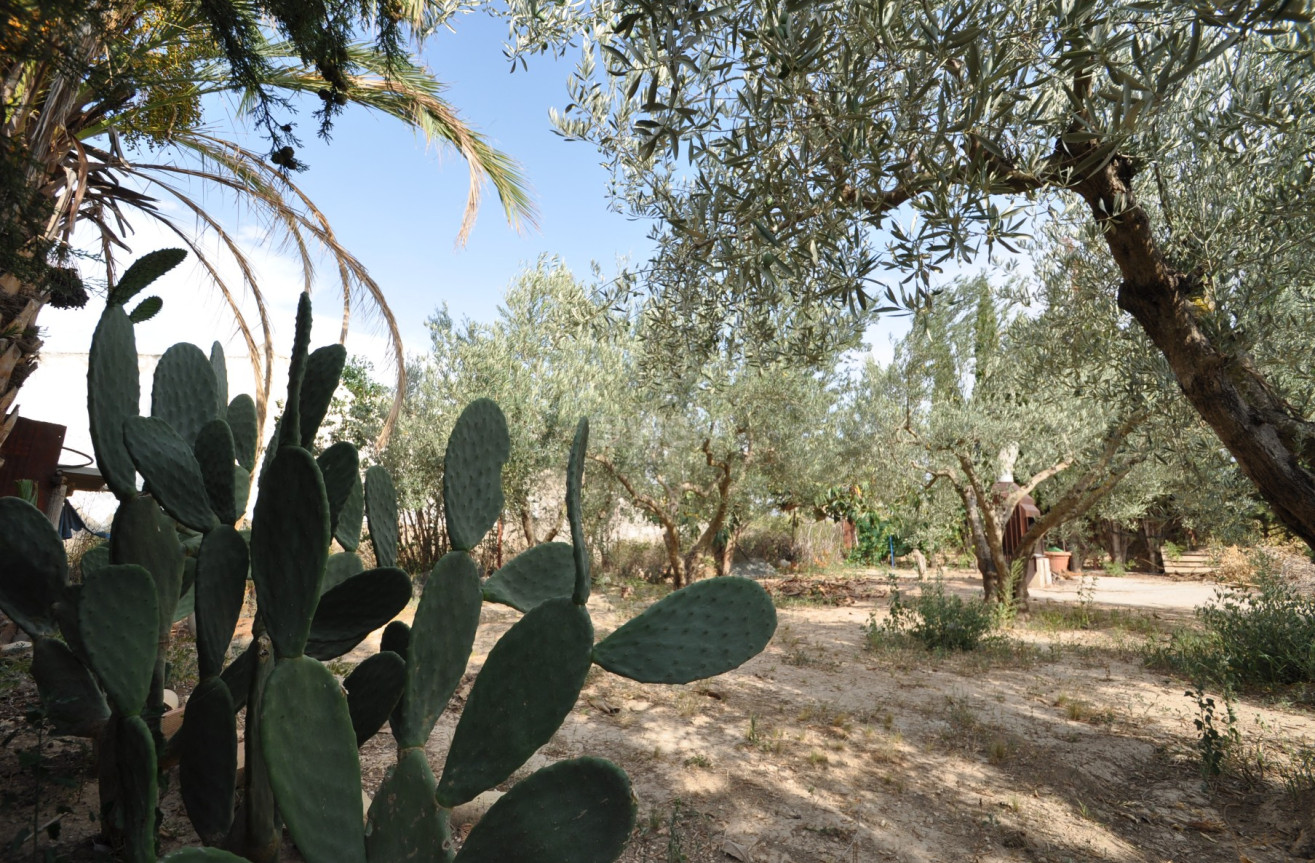 Resale - Villa - Pinoso - Inland