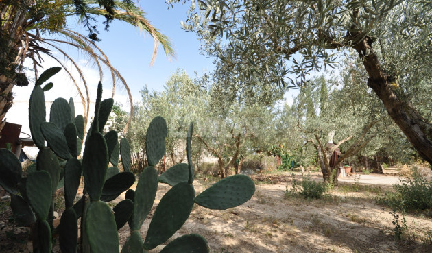 Resale - Villa - Pinoso - Inland