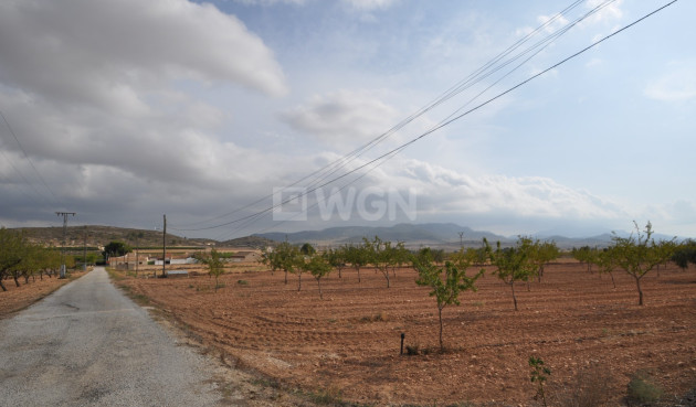 Resale - Villa - Pinoso - Inland