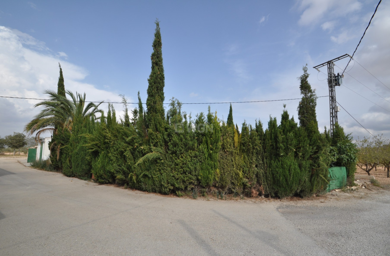 Resale - Villa - Pinoso - Inland