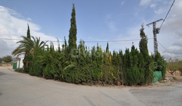 Resale - Villa - Pinoso - Inland