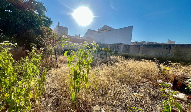 Resale - Townhouse - Pinoso - Inland