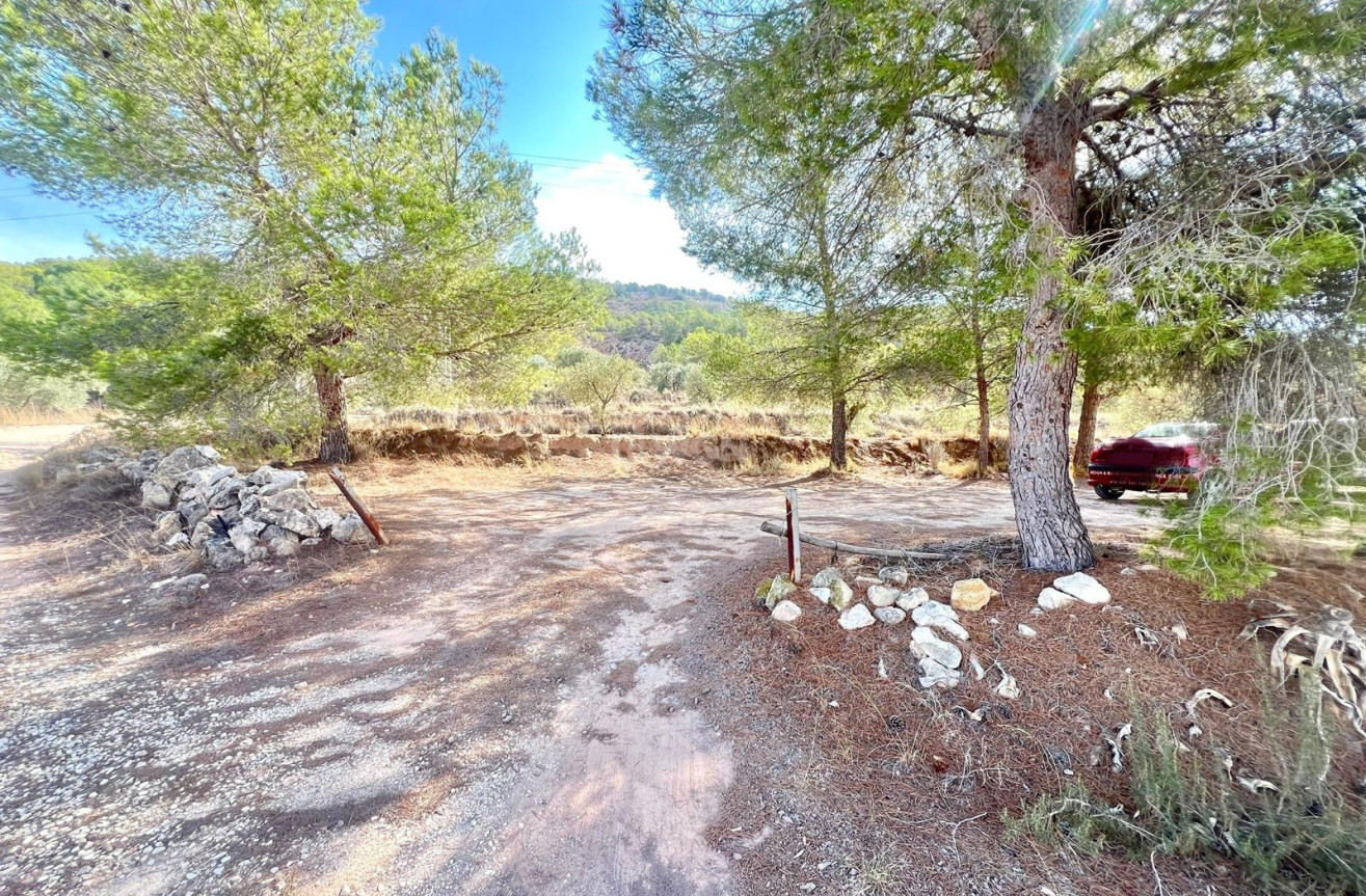 Resale - Villa - Pinoso - Inland