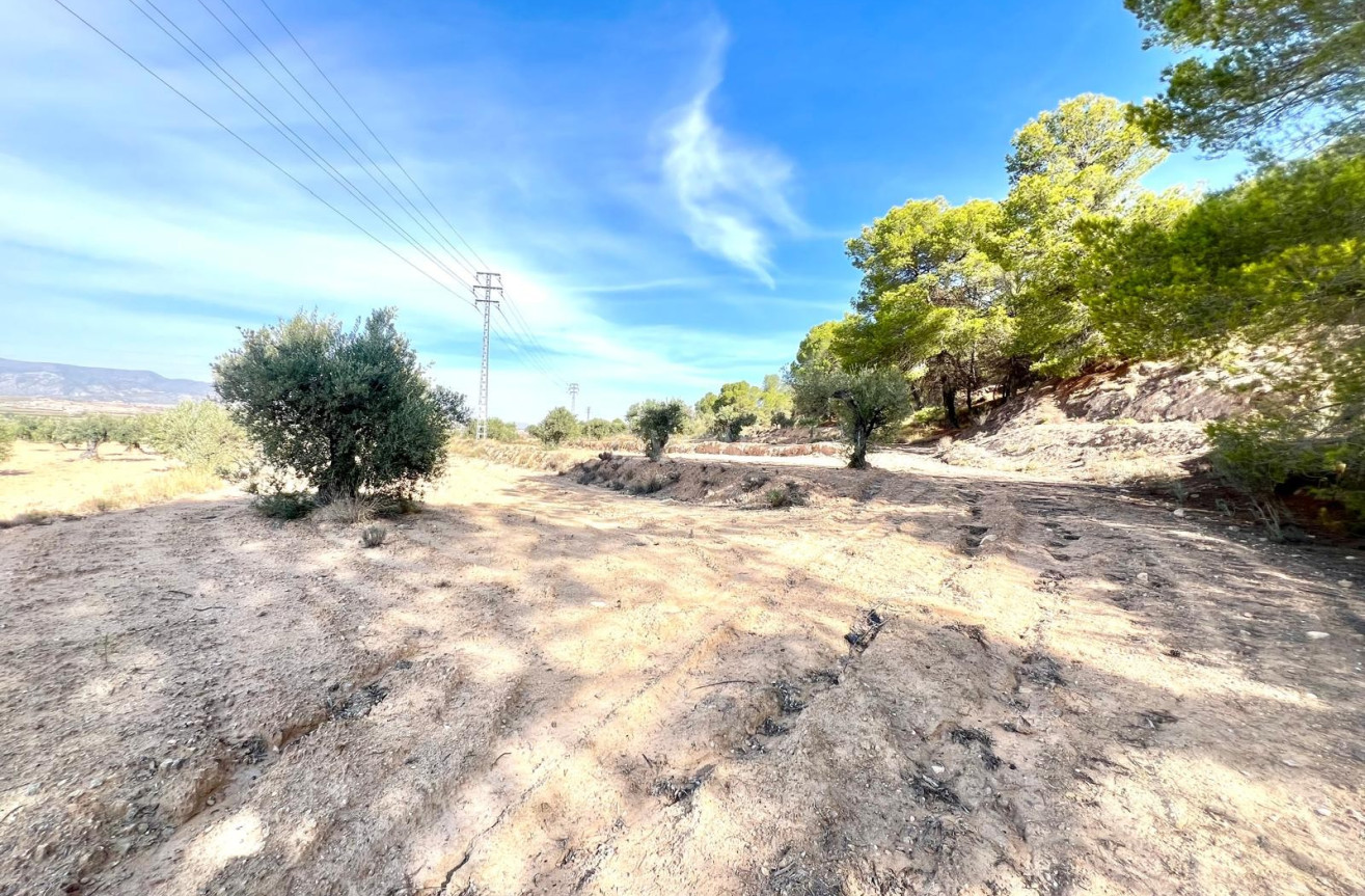 Resale - Villa - Pinoso - Inland