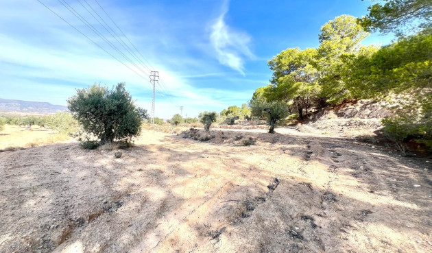 Resale - Villa - Pinoso - Inland