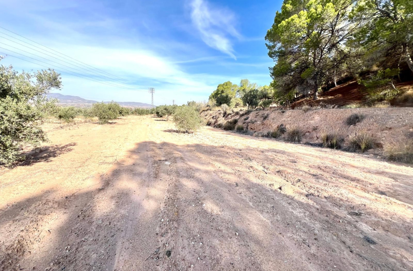 Resale - Villa - Pinoso - Inland