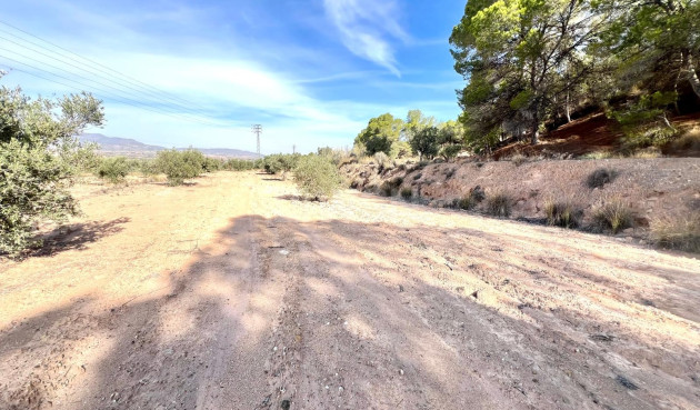 Resale - Villa - Pinoso - Inland