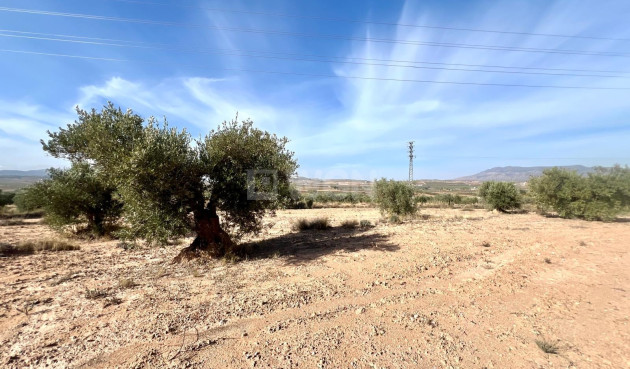 Resale - Villa - Pinoso - Inland