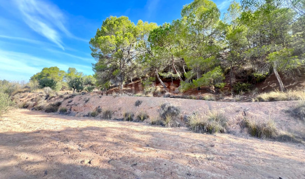 Resale - Villa - Pinoso - Inland