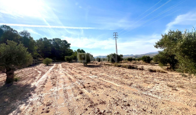 Resale - Villa - Pinoso - Inland