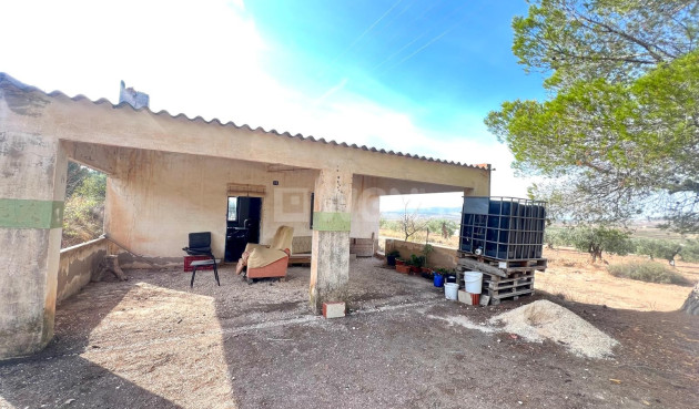 Resale - Villa - Pinoso - Inland