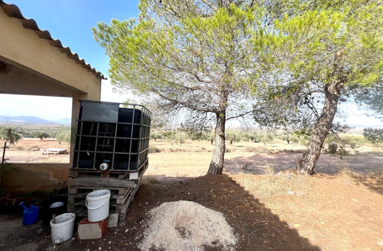 Resale - Villa - Pinoso - Inland