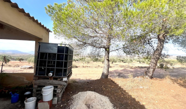 Resale - Villa - Pinoso - Inland