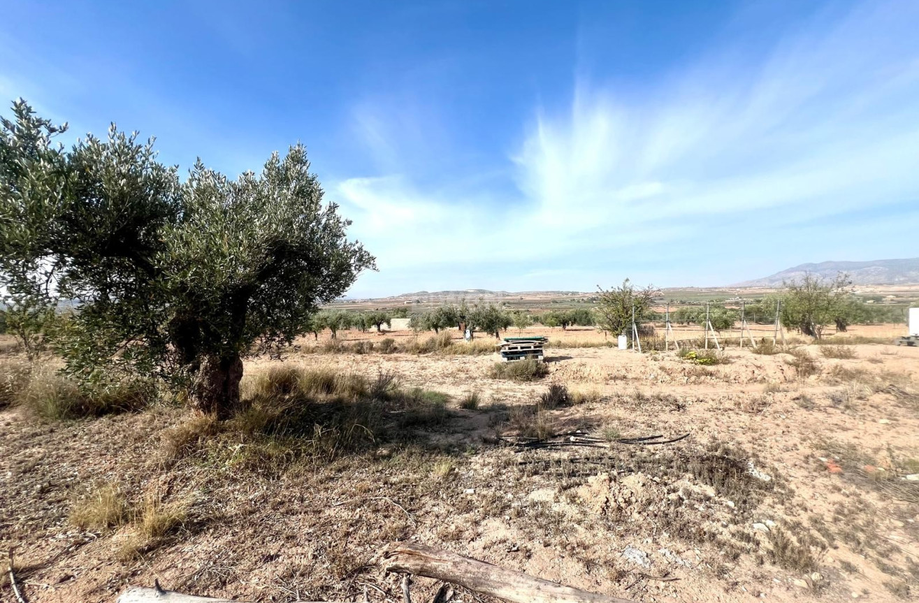 Resale - Villa - Pinoso - Inland