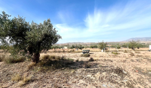 Resale - Villa - Pinoso - Inland