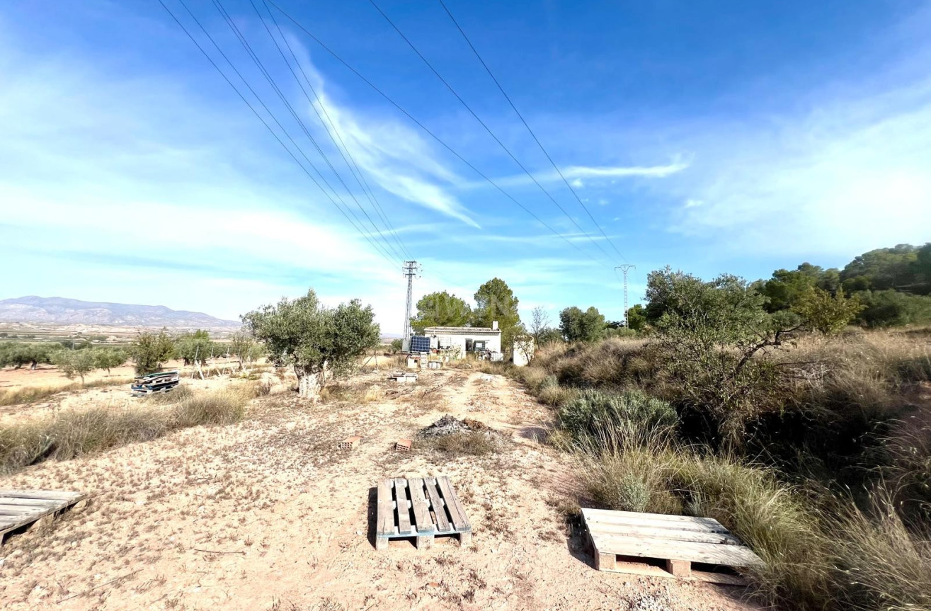 Resale - Villa - Pinoso - Inland