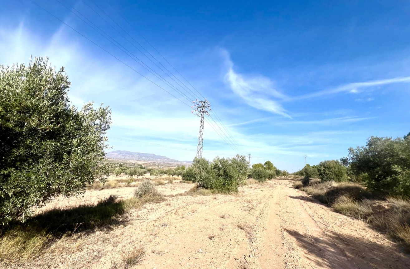 Resale - Villa - Pinoso - Inland