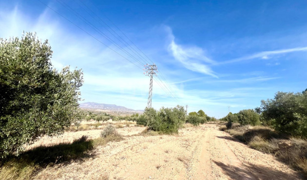 Resale - Villa - Pinoso - Inland