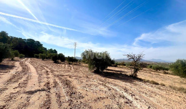 Resale - Villa - Pinoso - Inland