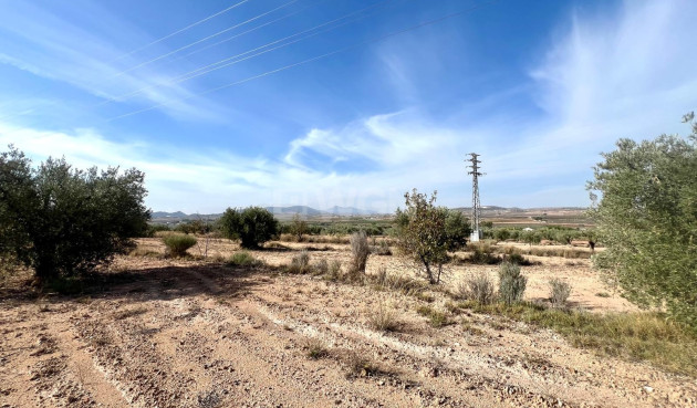 Resale - Villa - Pinoso - Inland