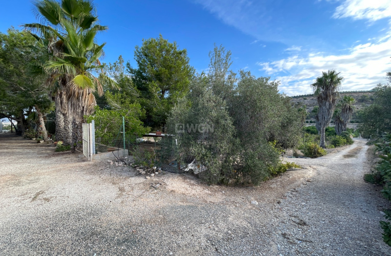 Odsprzedaż - Villa - Jacarilla - Inland