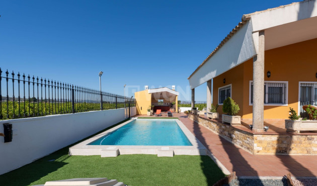 Resale - Villa - Orihuela - Inland