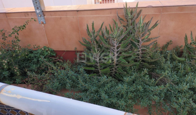 Resale - Apartment / flat - Torrevieja - La Mata