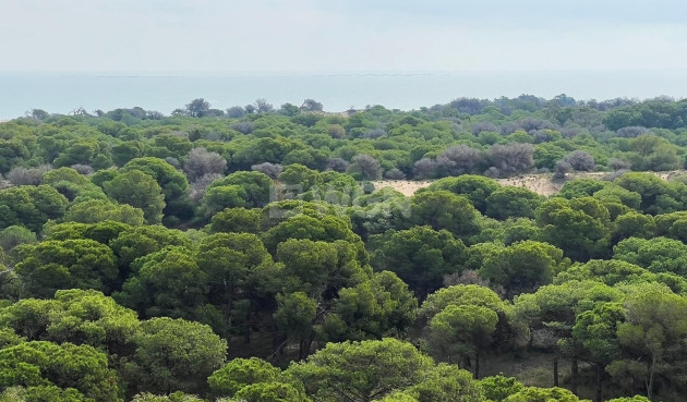 Resale - Penthouse - Guardamar del Segura - Puerto