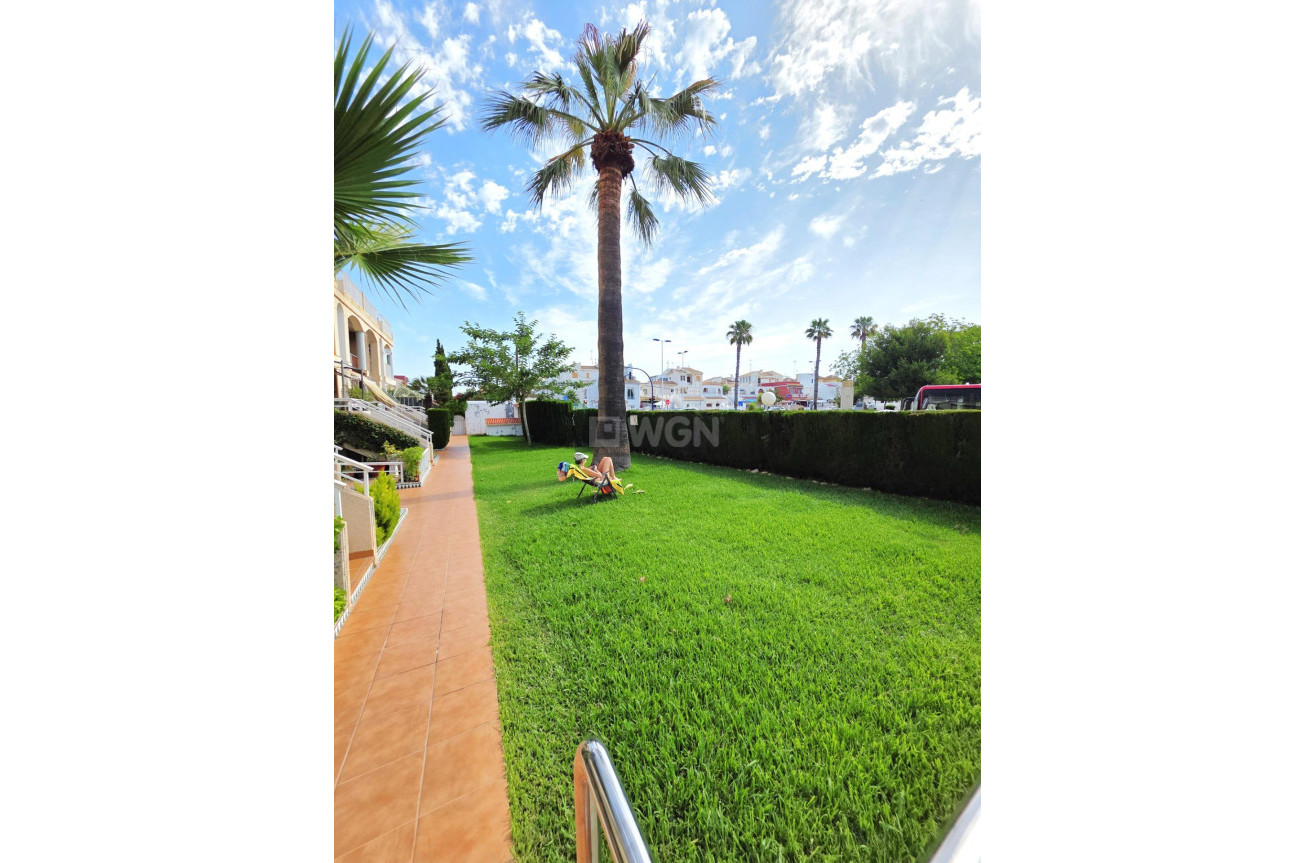 Resale - Apartment / flat - Torrevieja - Los Frutales