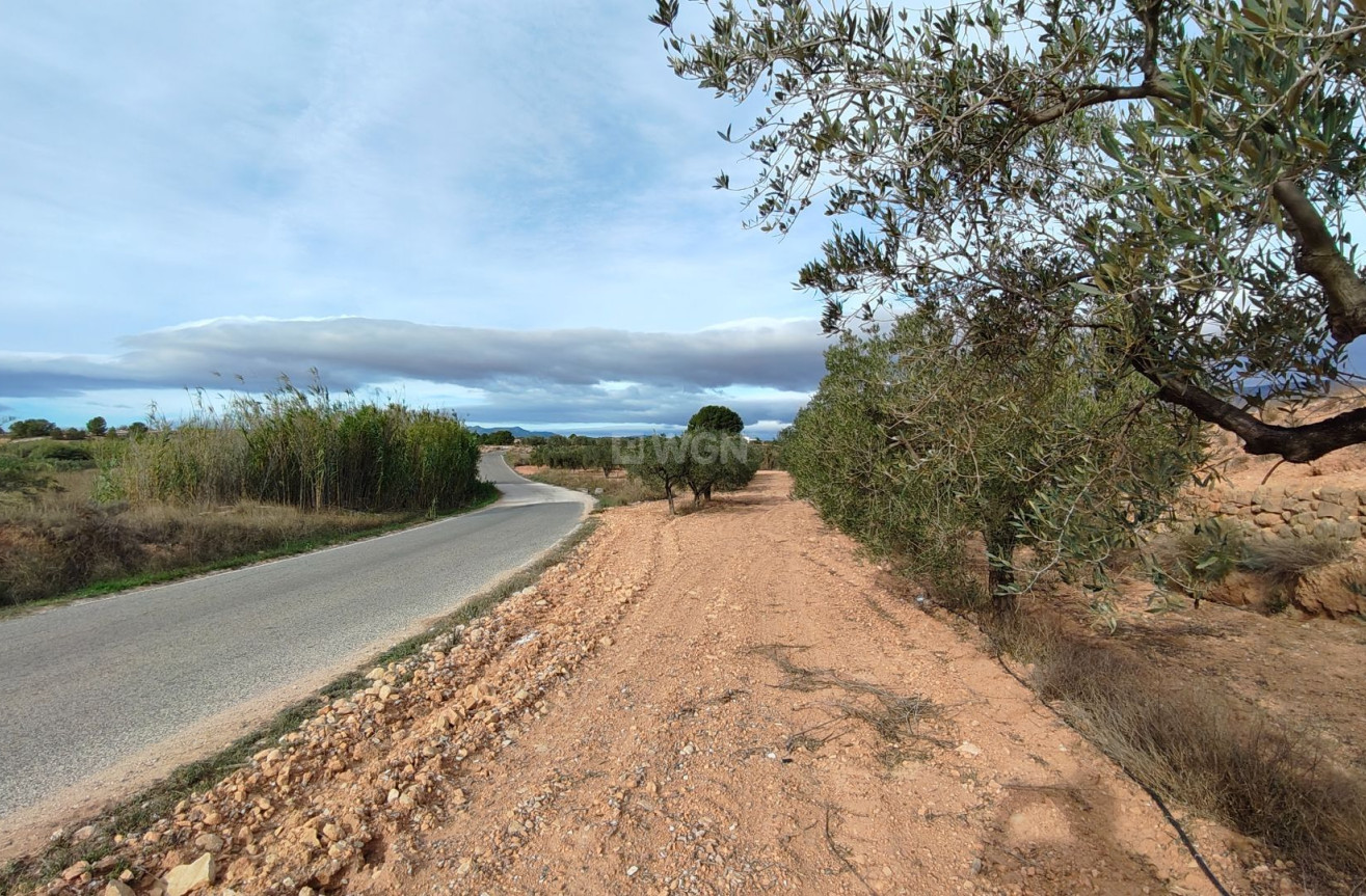 Reventa - Parcela / Terreno - Monóvar/Monóver - Inland