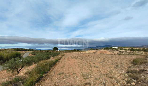 Reventa - Parcela / Terreno - Monóvar/Monóver - Inland