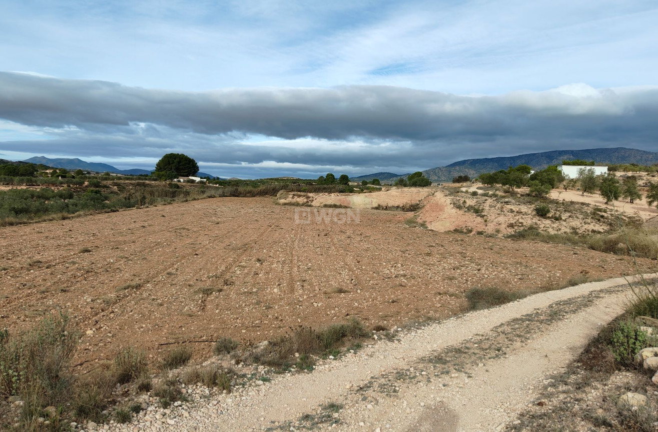 Reventa - Parcela / Terreno - Monóvar/Monóver - Inland