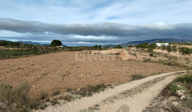 Reventa - Parcela / Terreno - Monóvar/Monóver - Inland