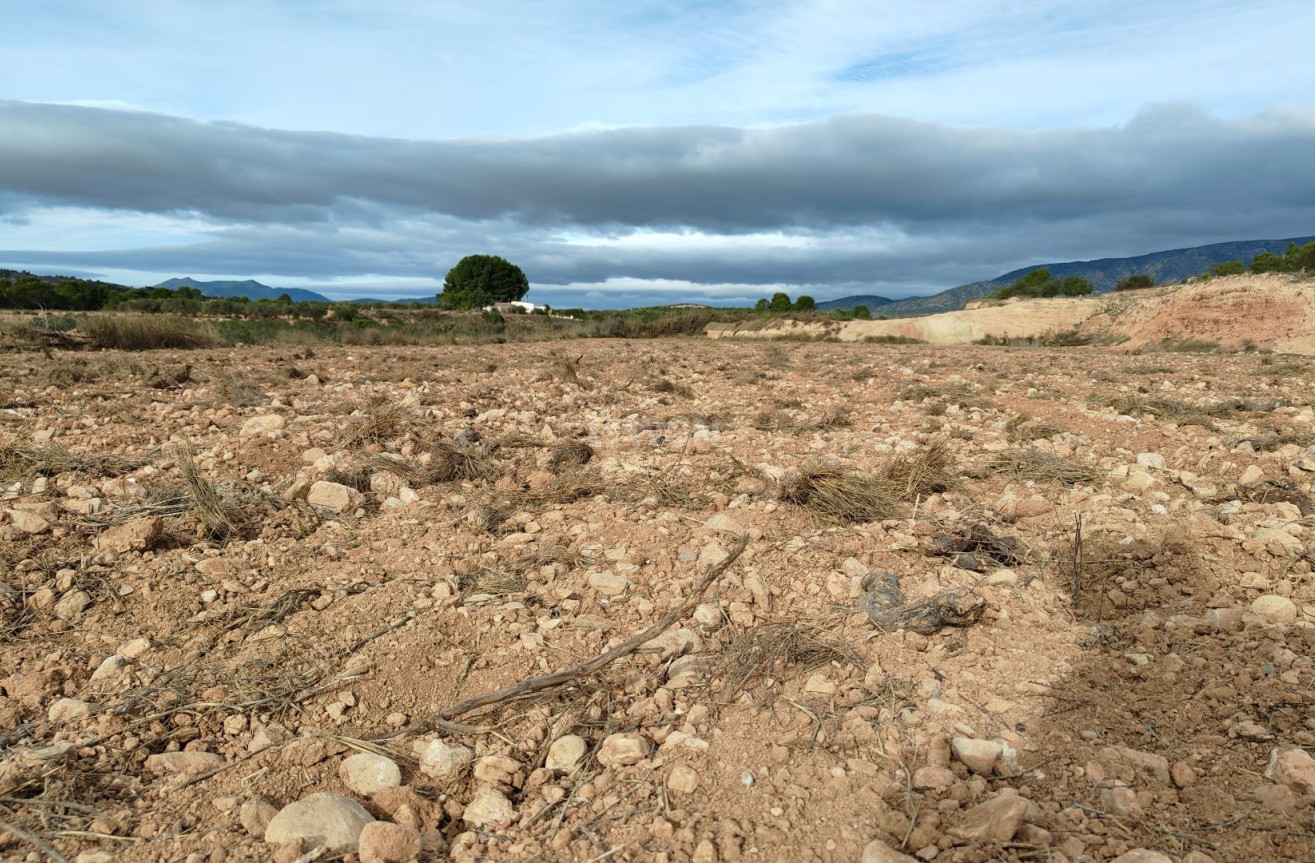 Reventa - Parcela / Terreno - Monóvar/Monóver - Inland