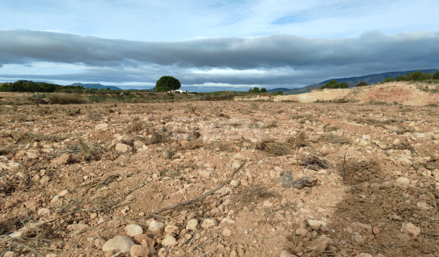 Reventa - Parcela / Terreno - Monóvar/Monóver - Inland
