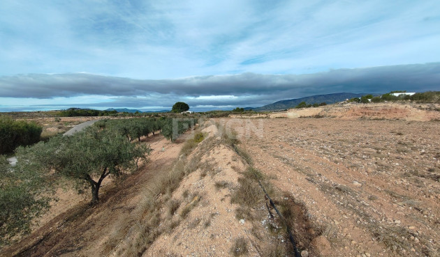 Reventa - Parcela / Terreno - Monóvar/Monóver - Inland