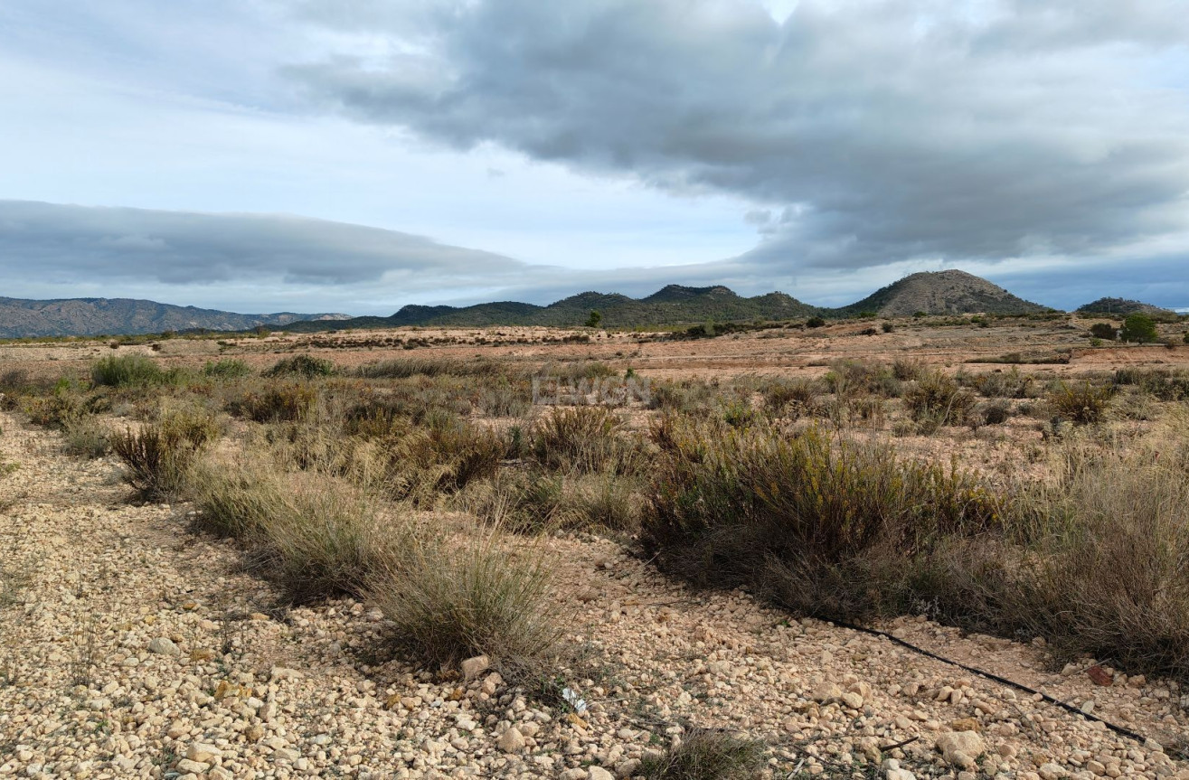 Reventa - Parcela / Terreno - Monóvar/Monóver - Inland