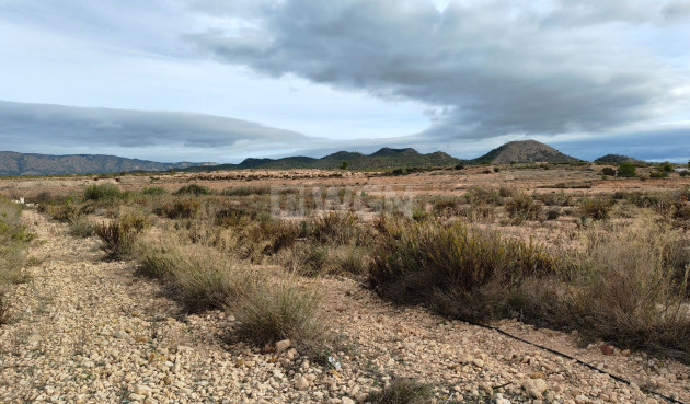Reventa - Parcela / Terreno - Monóvar/Monóver - Inland