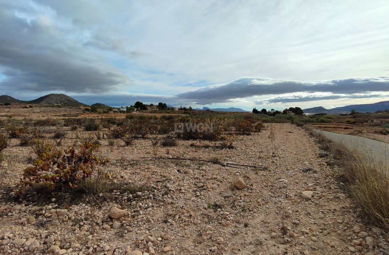Reventa - Parcela / Terreno - Monóvar/Monóver - Inland