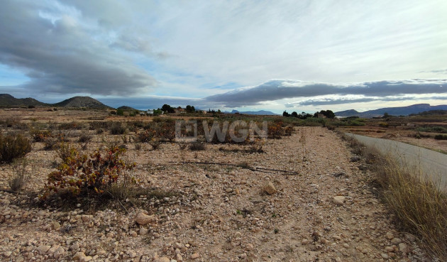 Reventa - Parcela / Terreno - Monóvar/Monóver - Inland