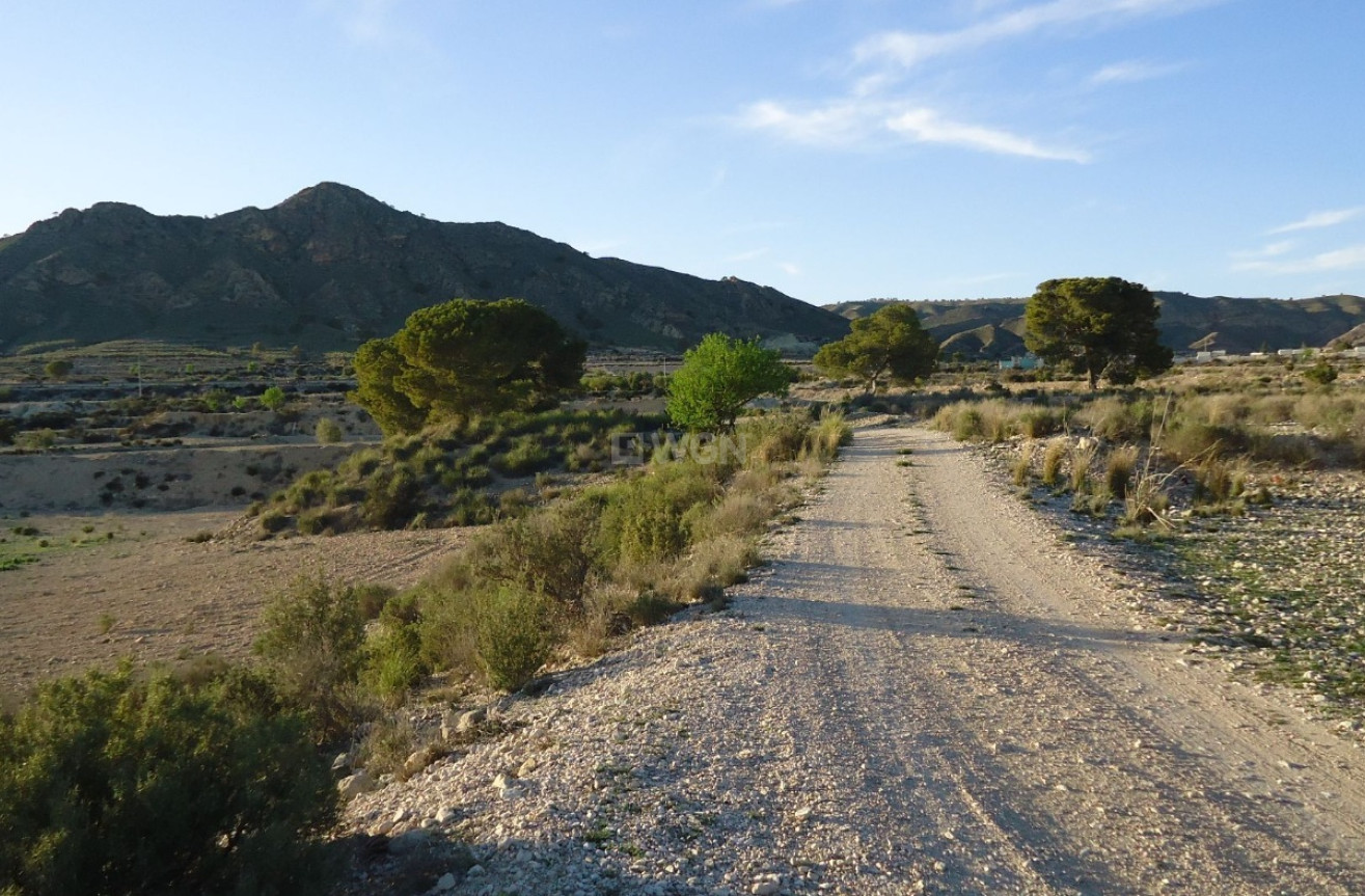 Reventa - Parcela / Terreno - Abanilla - Inland