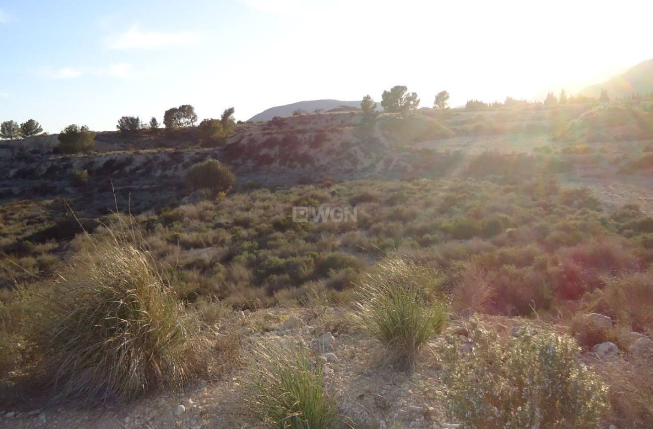 Reventa - Parcela / Terreno - Abanilla - Inland